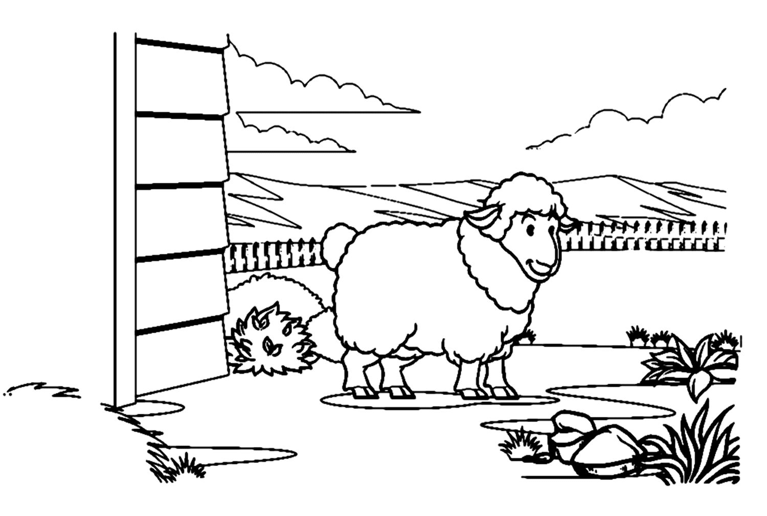 Agneau dans la grange de Lamb