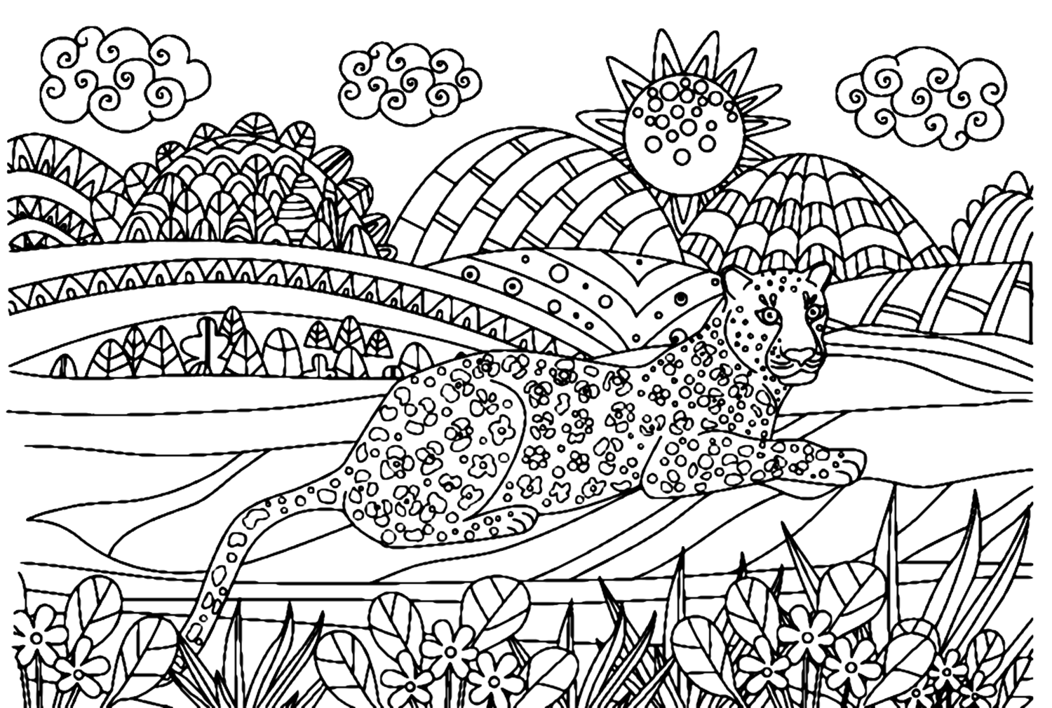 Leopard Resting In Fancy Hill Coloring Pages