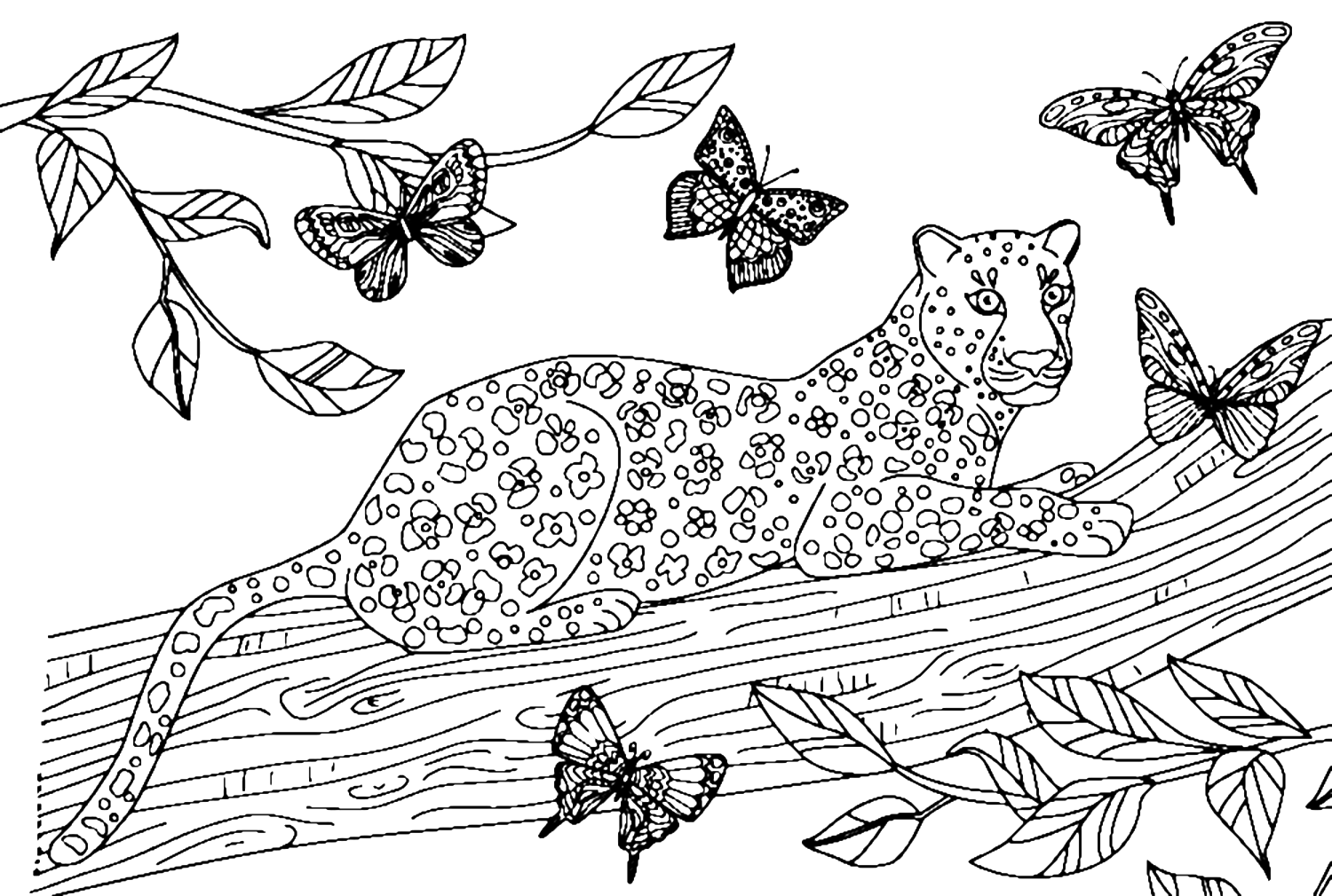 Leopard Surrounded By Butterflies from Leopard