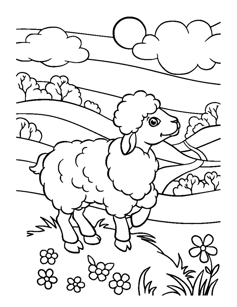小羊羔坐在小山上从羔羊