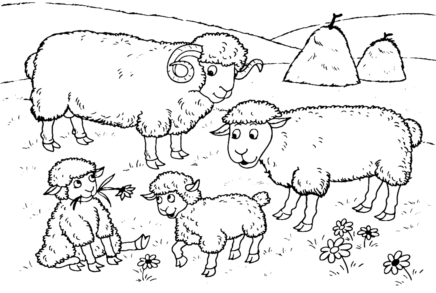 Petit agneau avec famille de moutons de Lamb