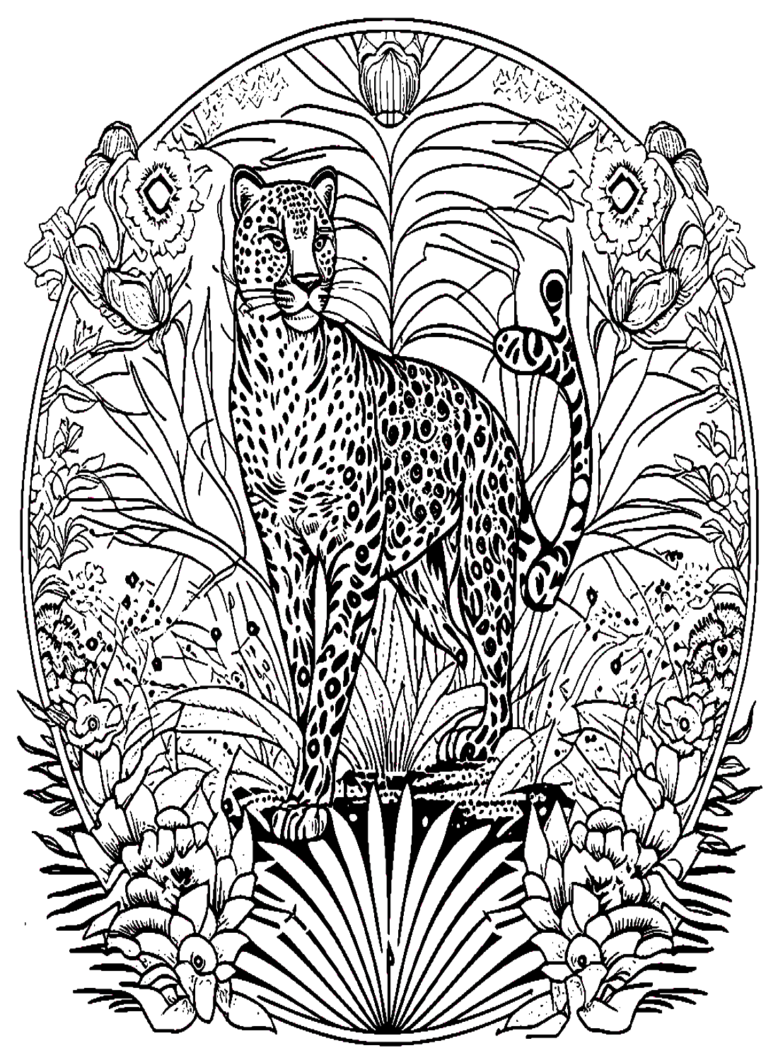 Majestic Leopard from Leopard
