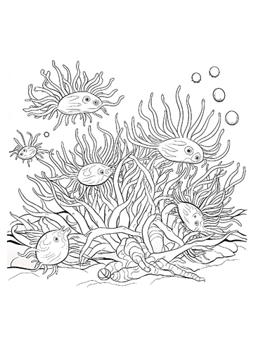 pagine da colorare stampabili di anemoni di mare