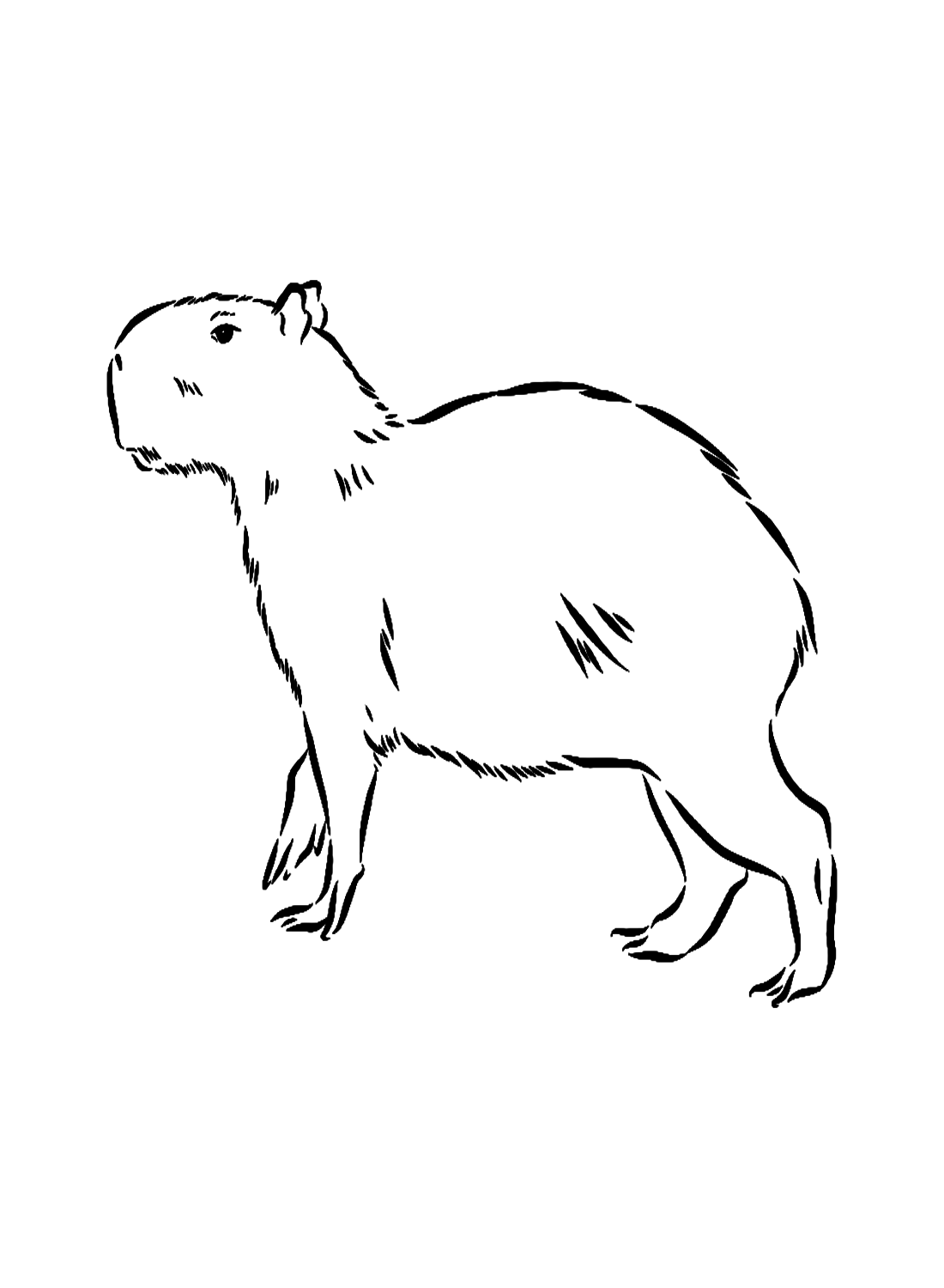 Реалистичная капибара из Capybara