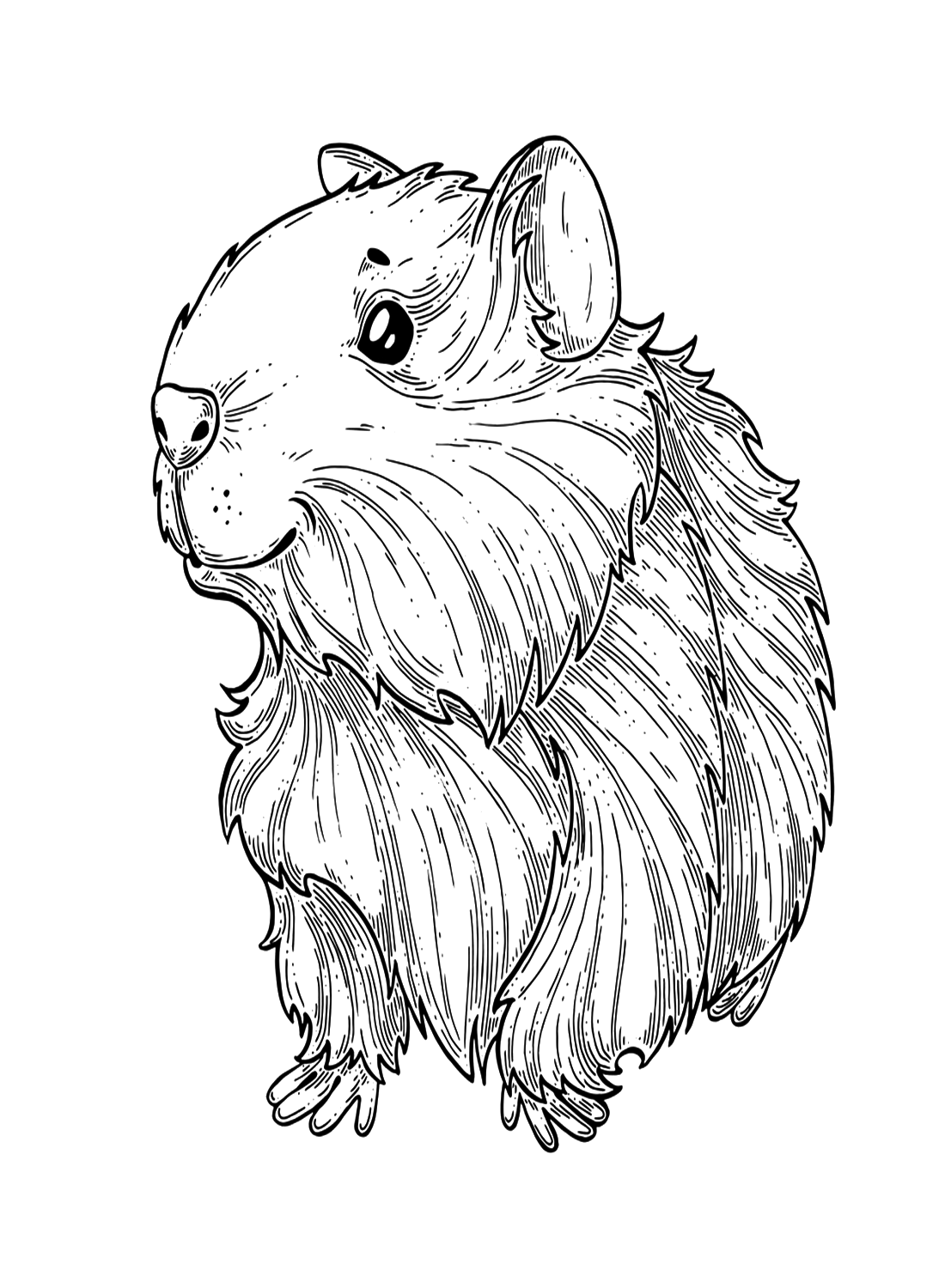 Realistic Guinea Pig from Guinea Pig