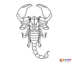 Scorpions Coloring Pages