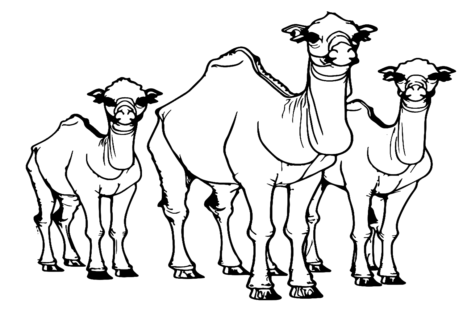 Tres camellos de Camel