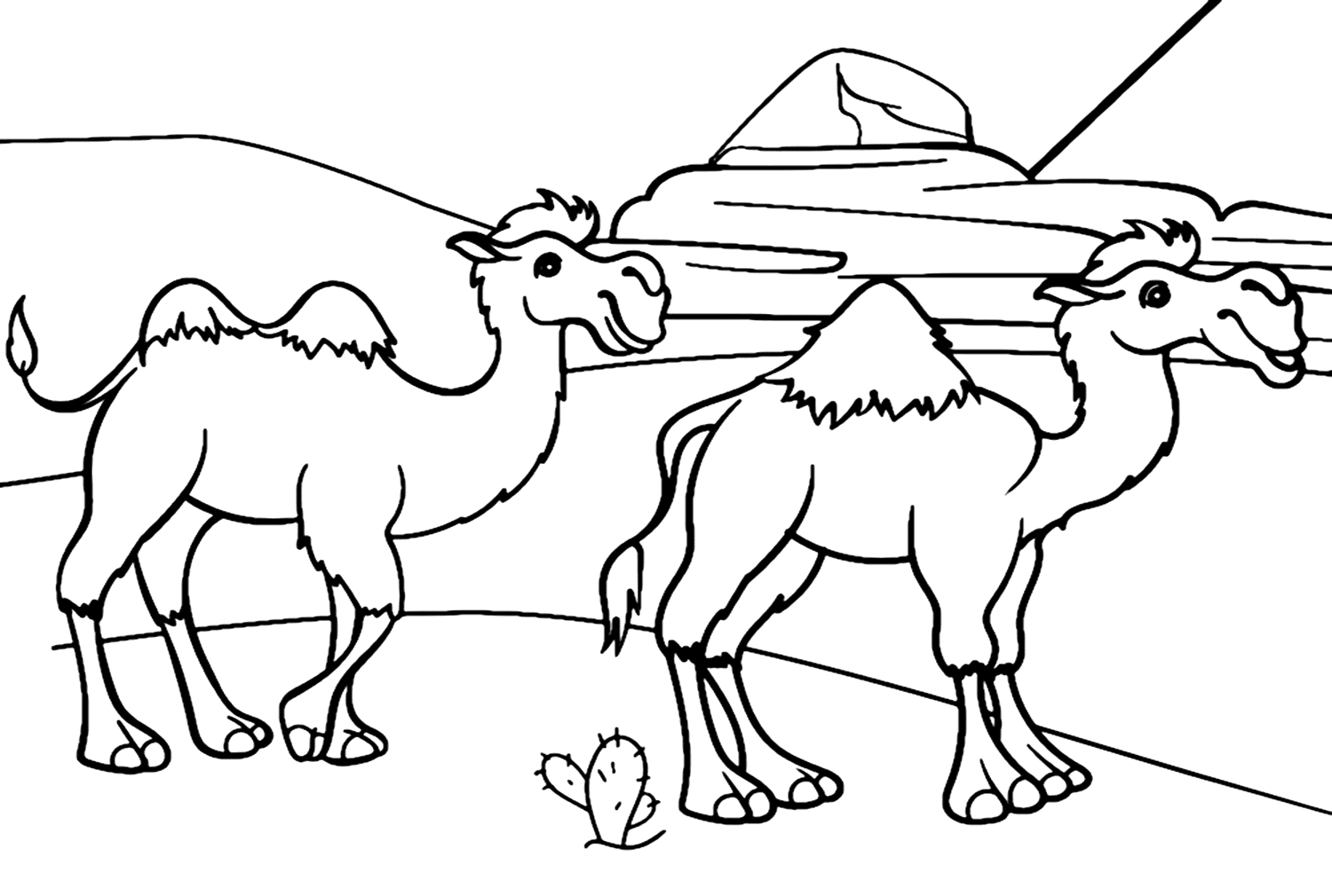Zwei Kamele in der Wüste von Camel