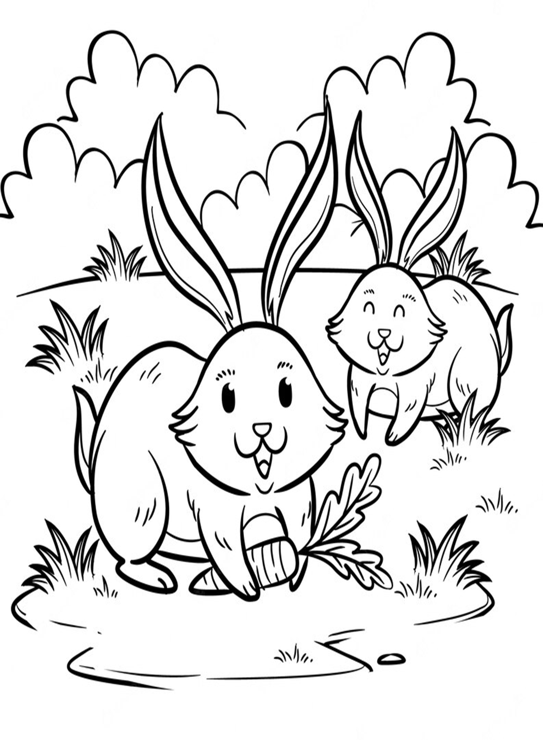 Twee konijnen spelen op het gras van Rabbit