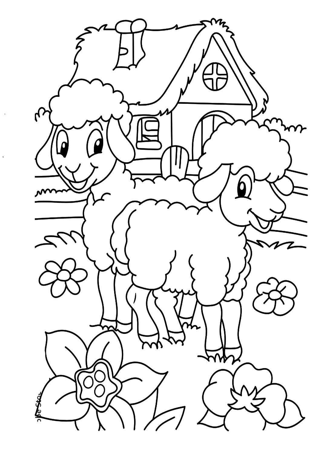 Twee lammeren op de boerderij van Lamb