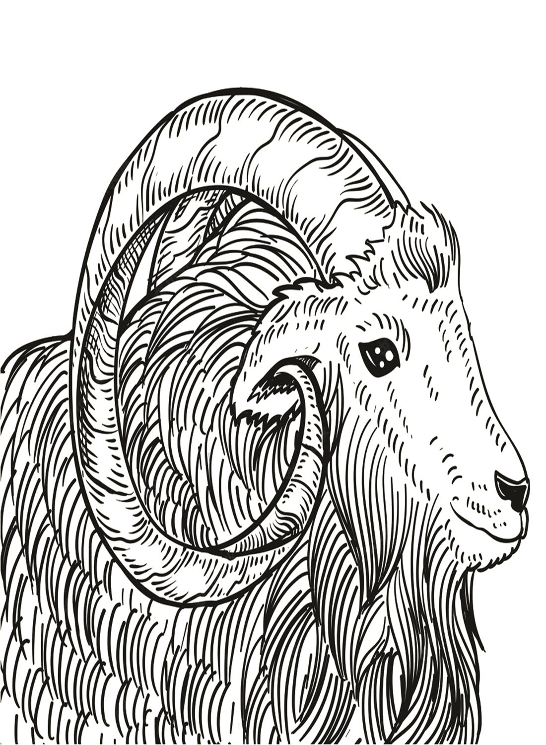 Винтажный стиль гравировки муфлона от Mouflon