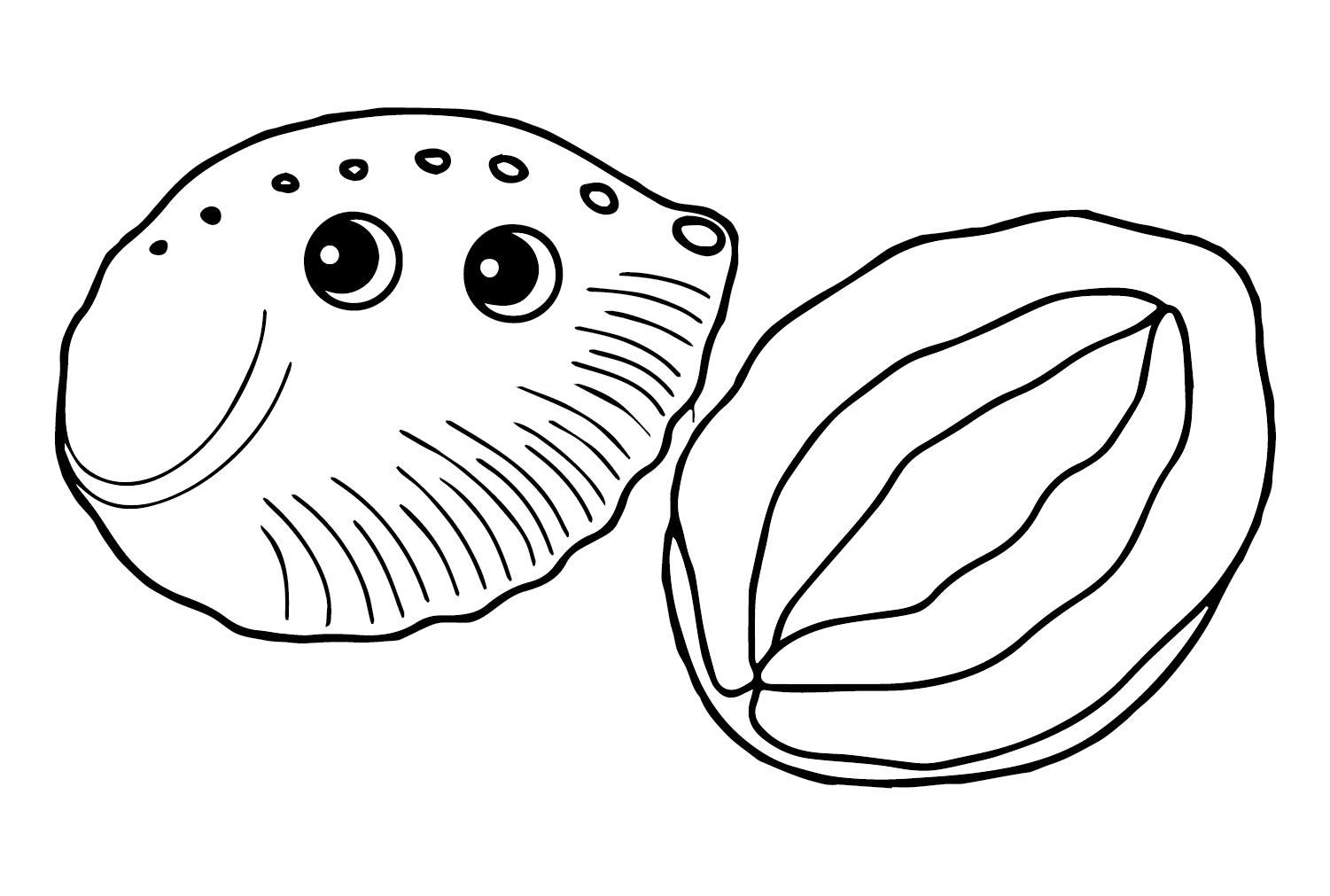 Abalone Coloring Page PDF from Abalone