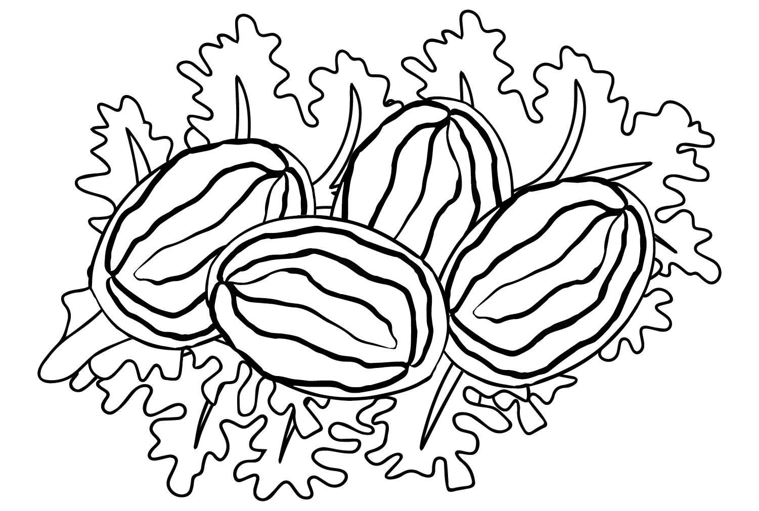 Abalone Coloring Page PNG from Abalone