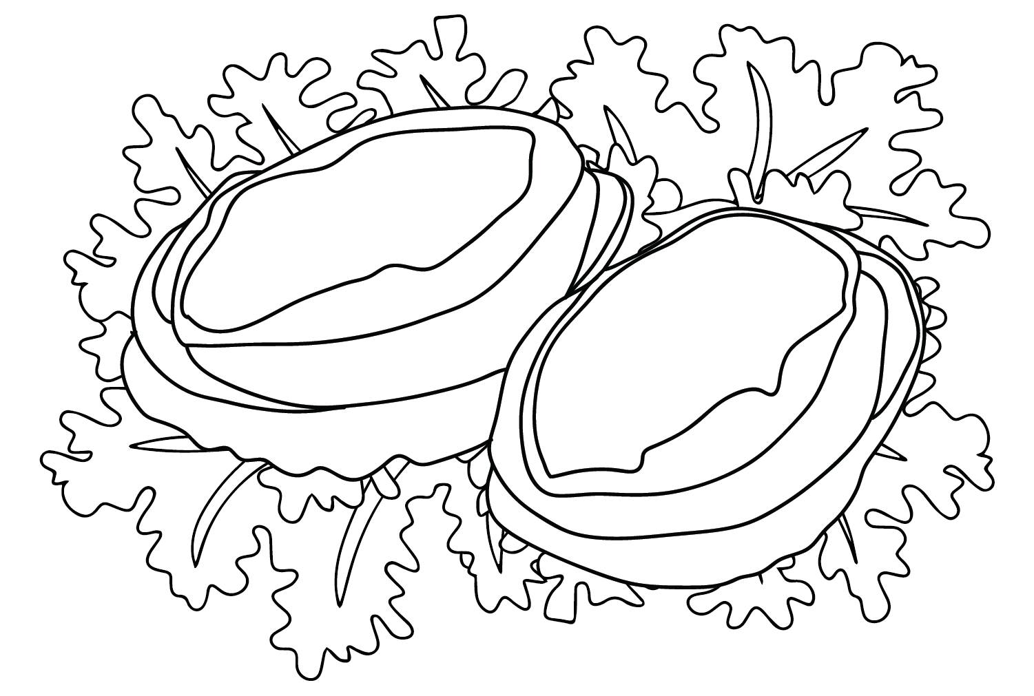 Раскраски для морского ушка, которые можно скачать с сайта Abalone