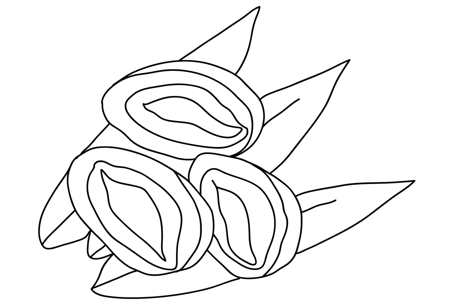 Abalone Coloring Sheet for Kids from Abalone