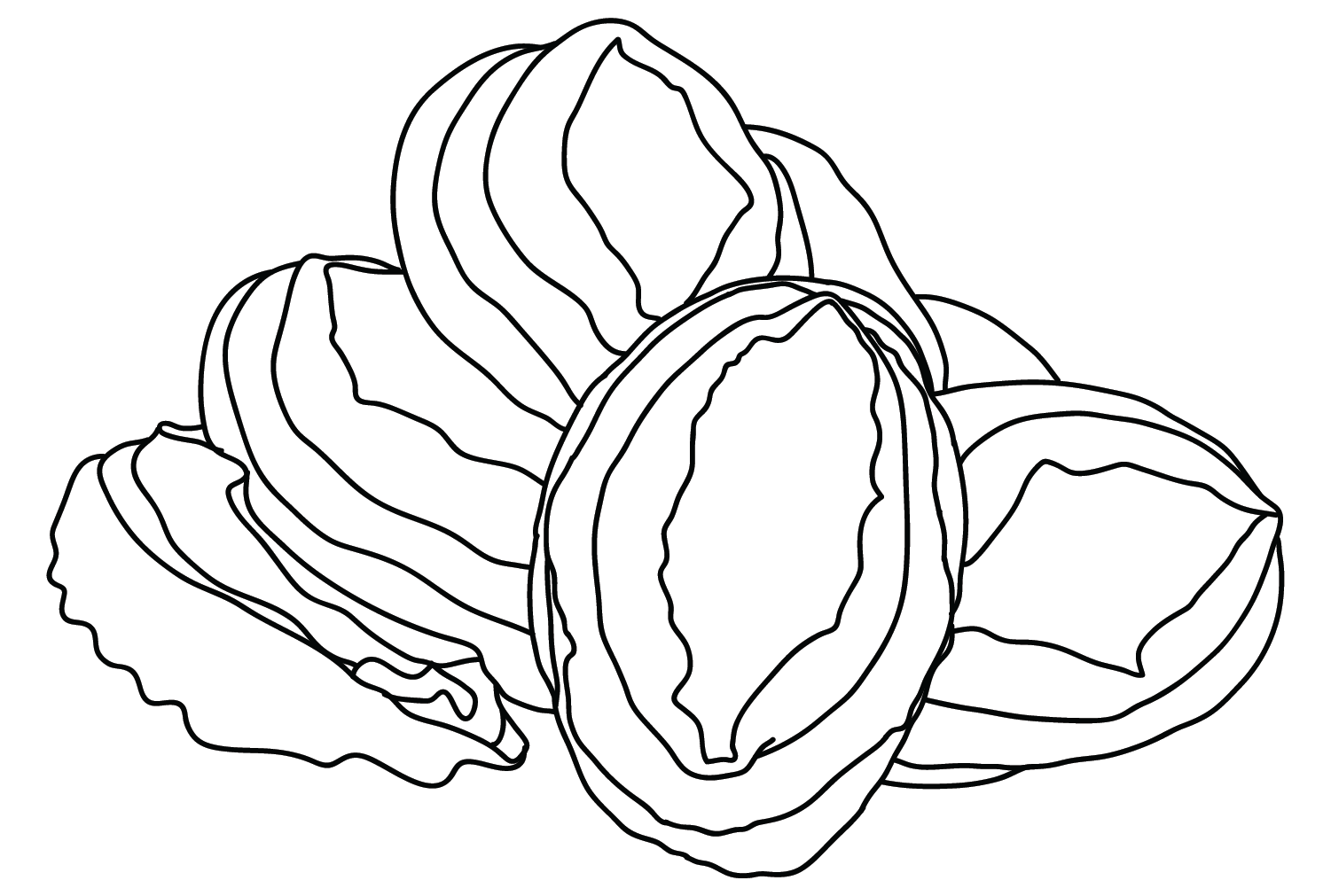 Изображения морского ушка для раскрашивания из морского ушка