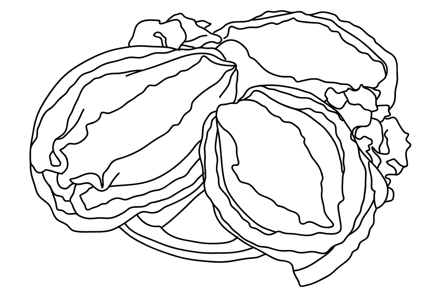 Картинки для раскрашивания морского ушка из морского ушка