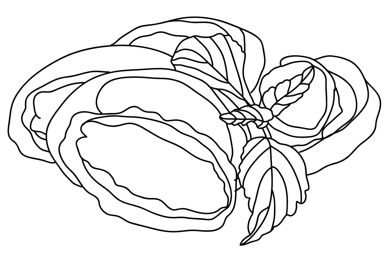Abalone Printable Coloring Page from Abalone