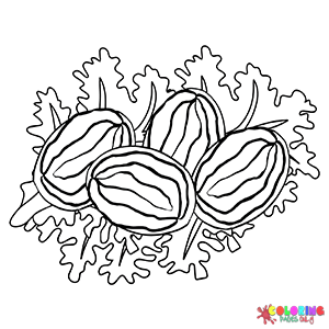 Abalone Coloring Pages