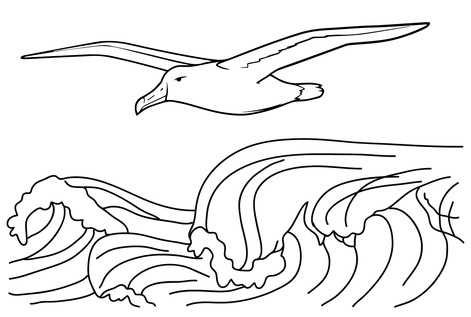 Albatross Coloring Page Printable from Albatross