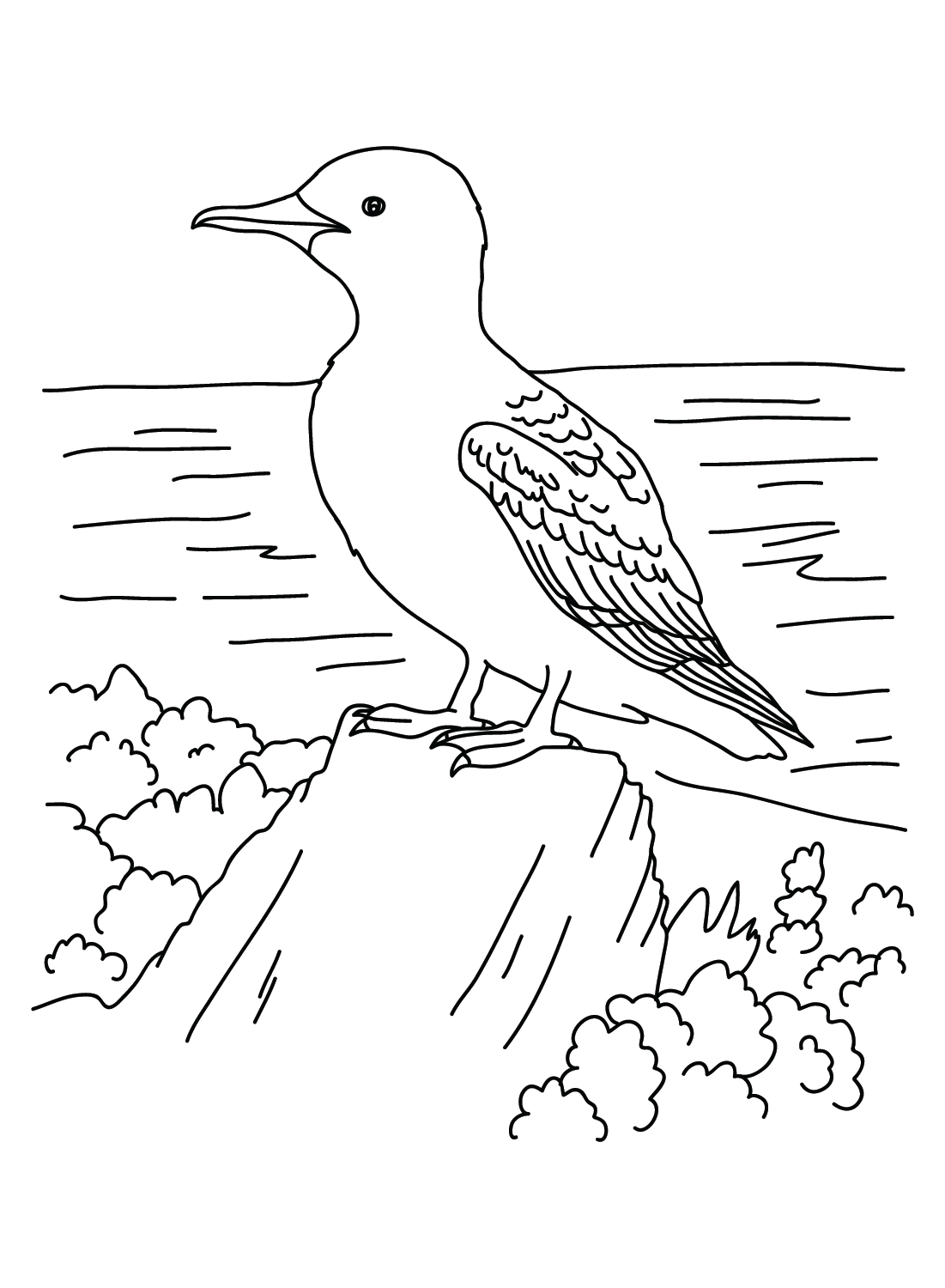 Foglio da colorare Albatros da Albatross