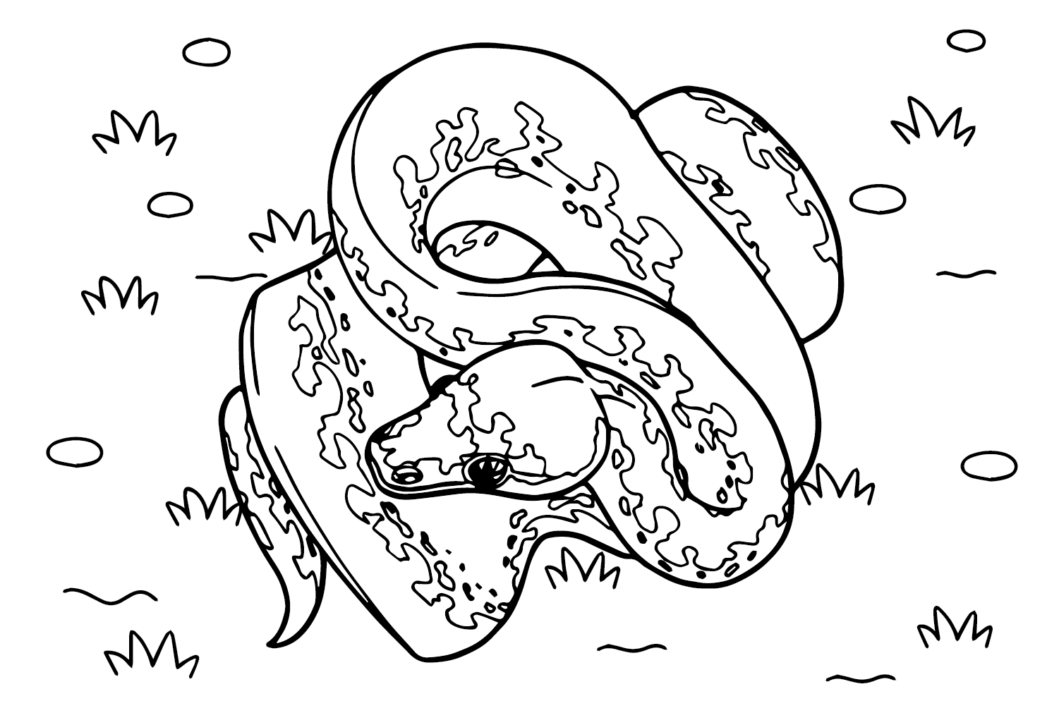 Anaconda Pagina da colorare per adulti di Anaconda