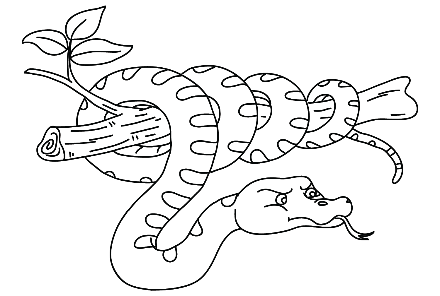 Imagem do Anaconda para colorir do Anaconda