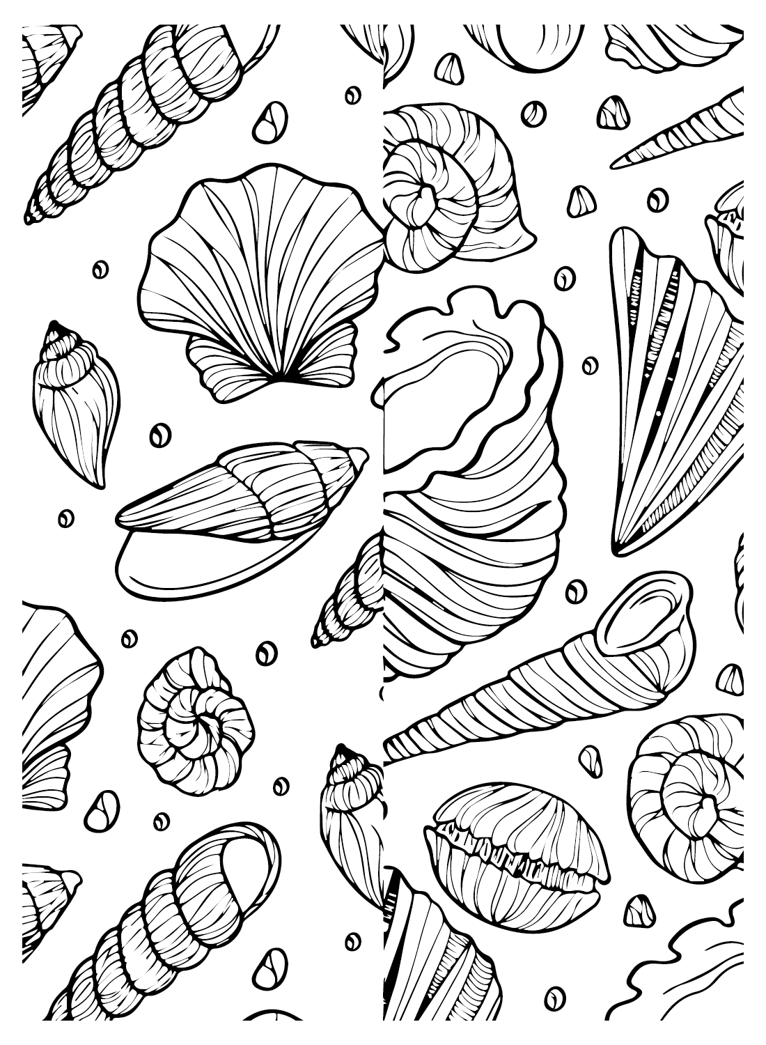 Фоновое изображение Моллюск и все виды морских улиток из Моллюска