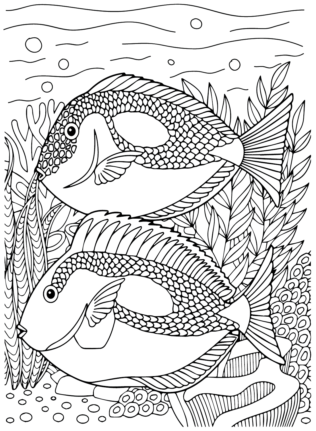 Big Tang Fish Coloring Pages - Tang Fish Coloring Pages - Páginas