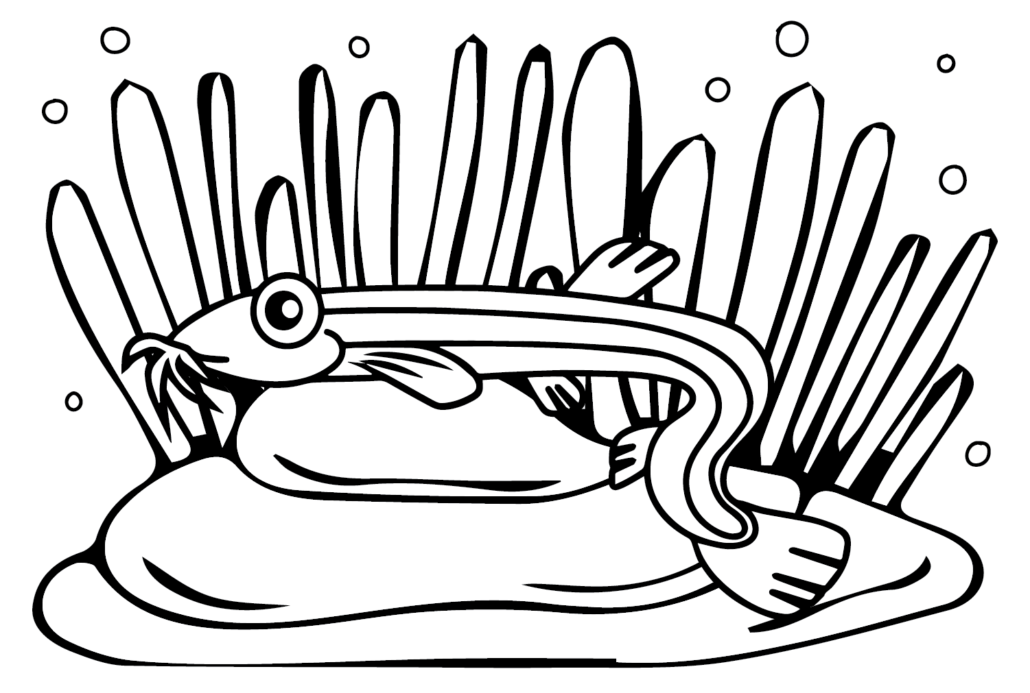 Print Loach Coloring Page - Free Printable Coloring Pages