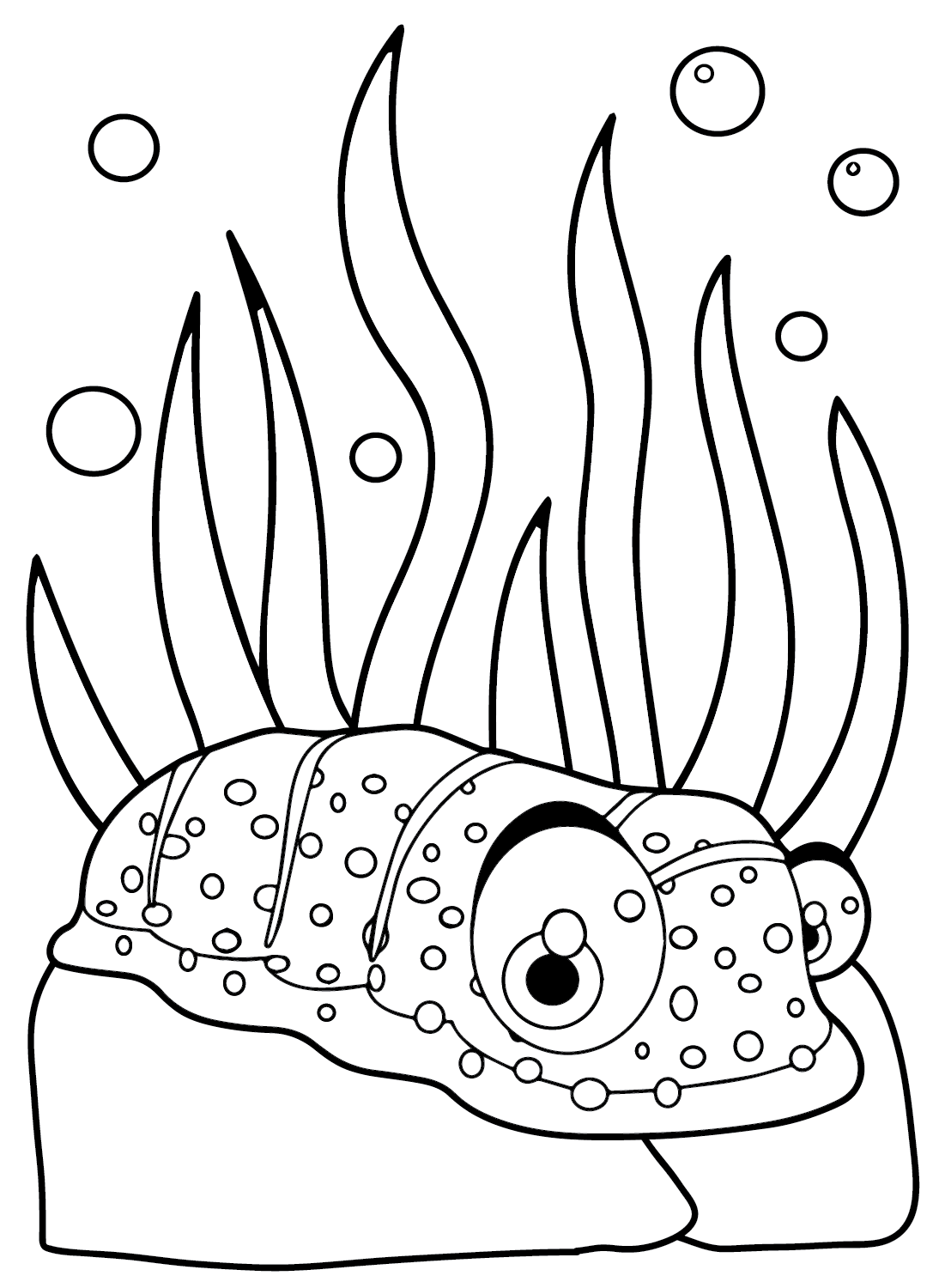 Pepino de mar de dibujos animados de pepino de mar