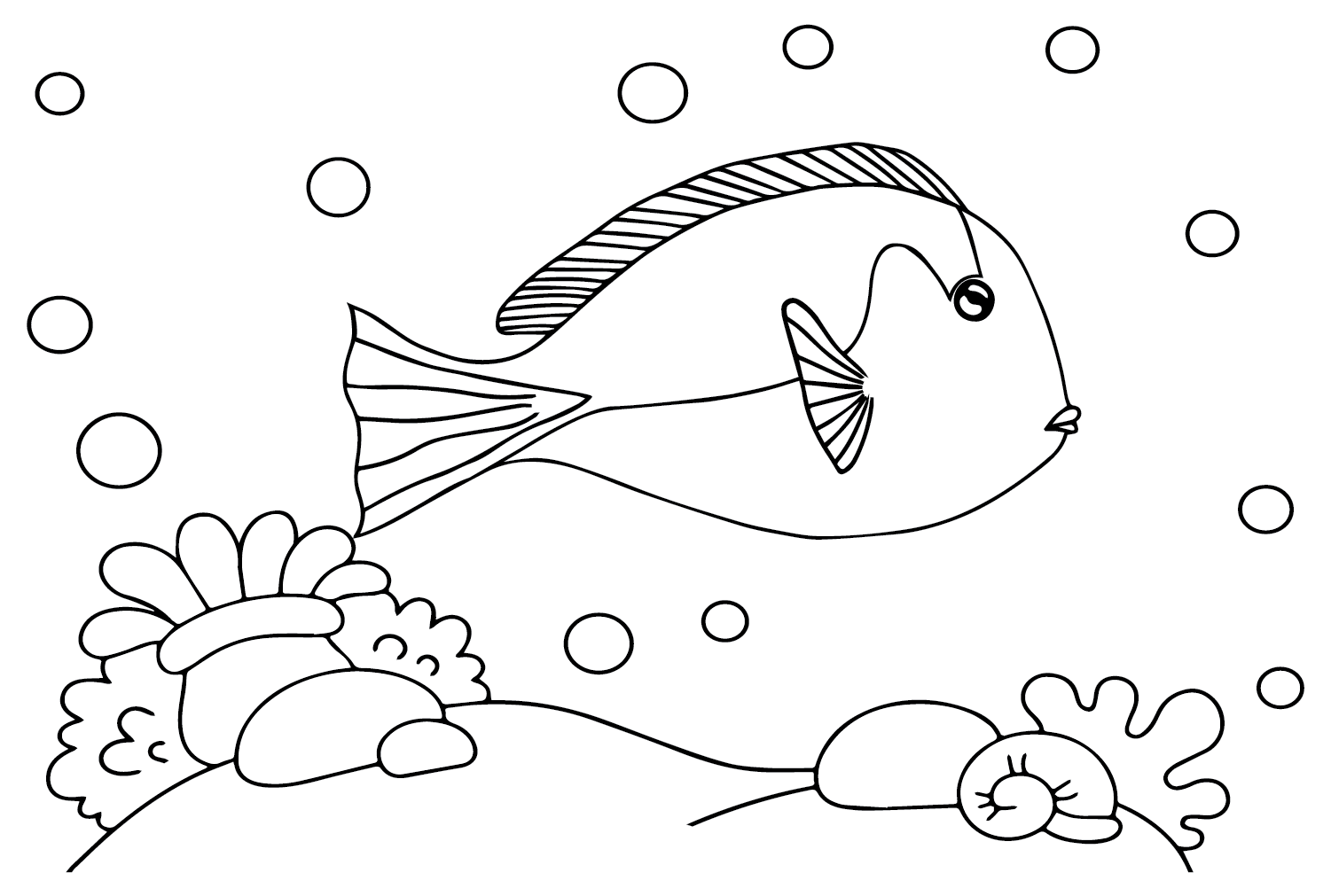 Cartoon Tang Fish from Tang Fish