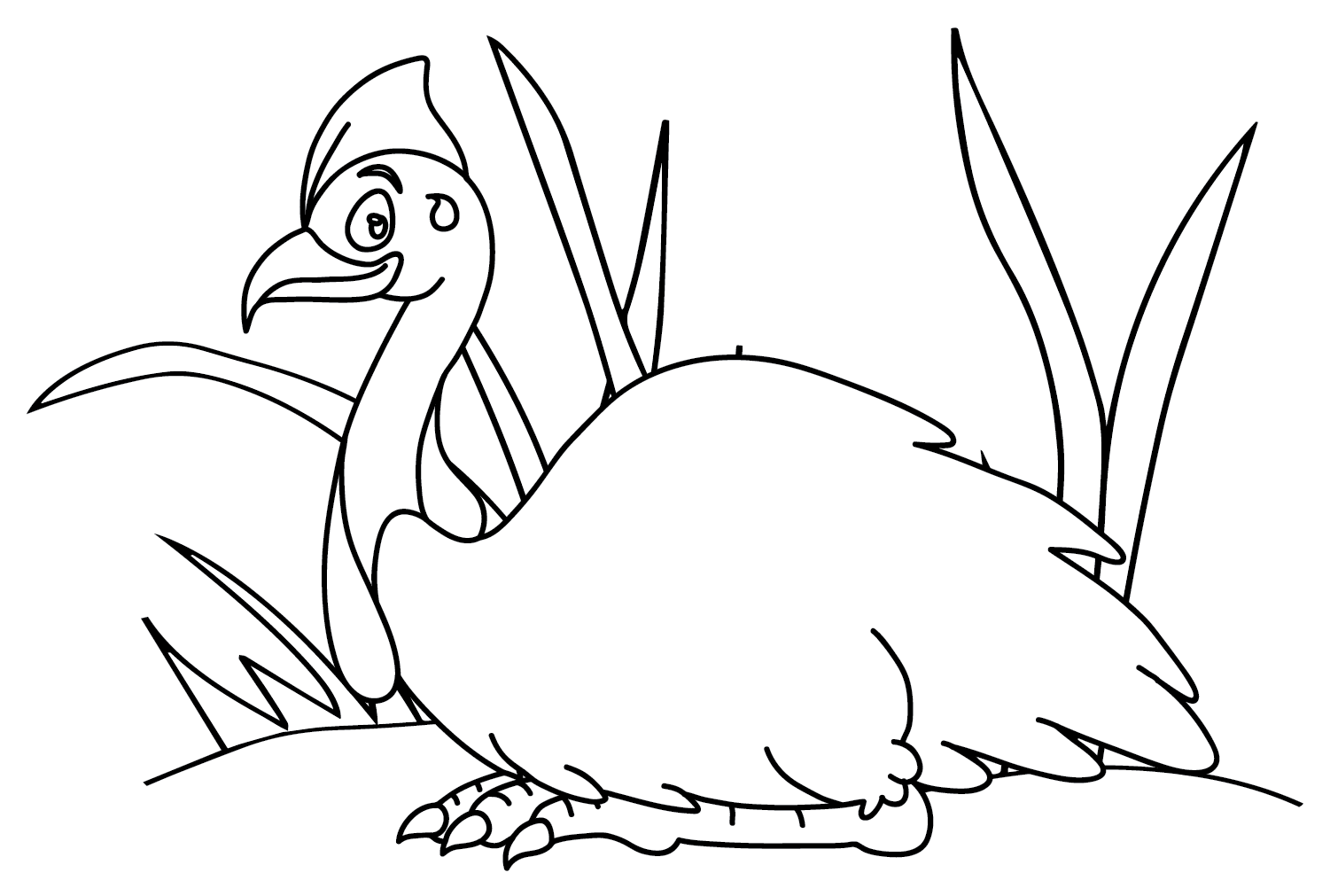 Cassowary Coloring Page PNG from Cassowary