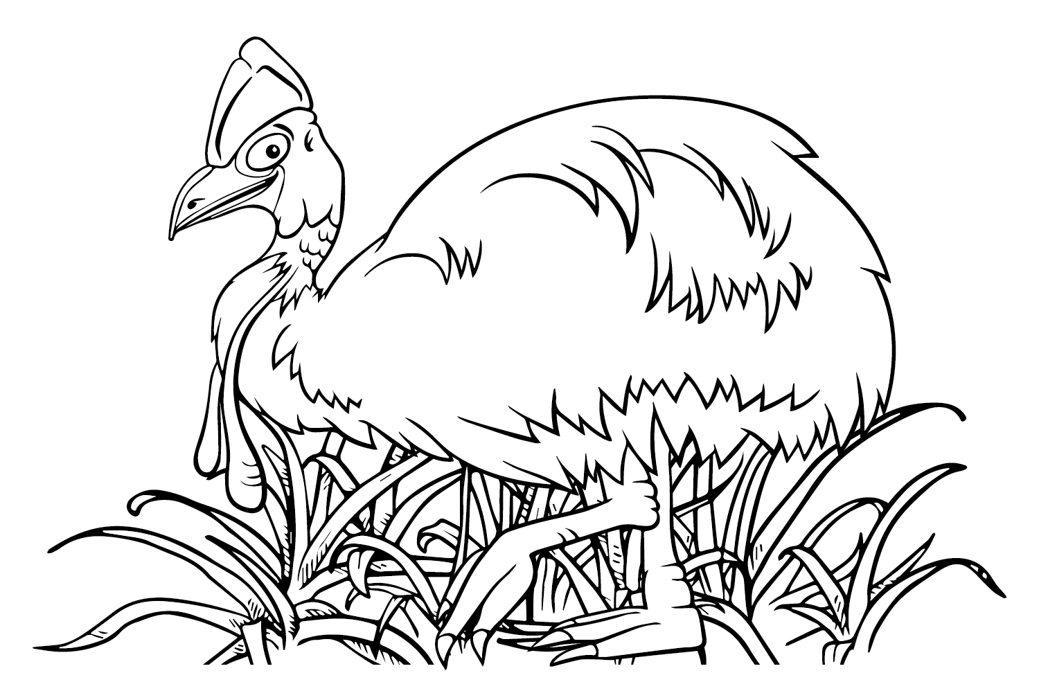 Cassowary Coloring Page Printable from Cassowary