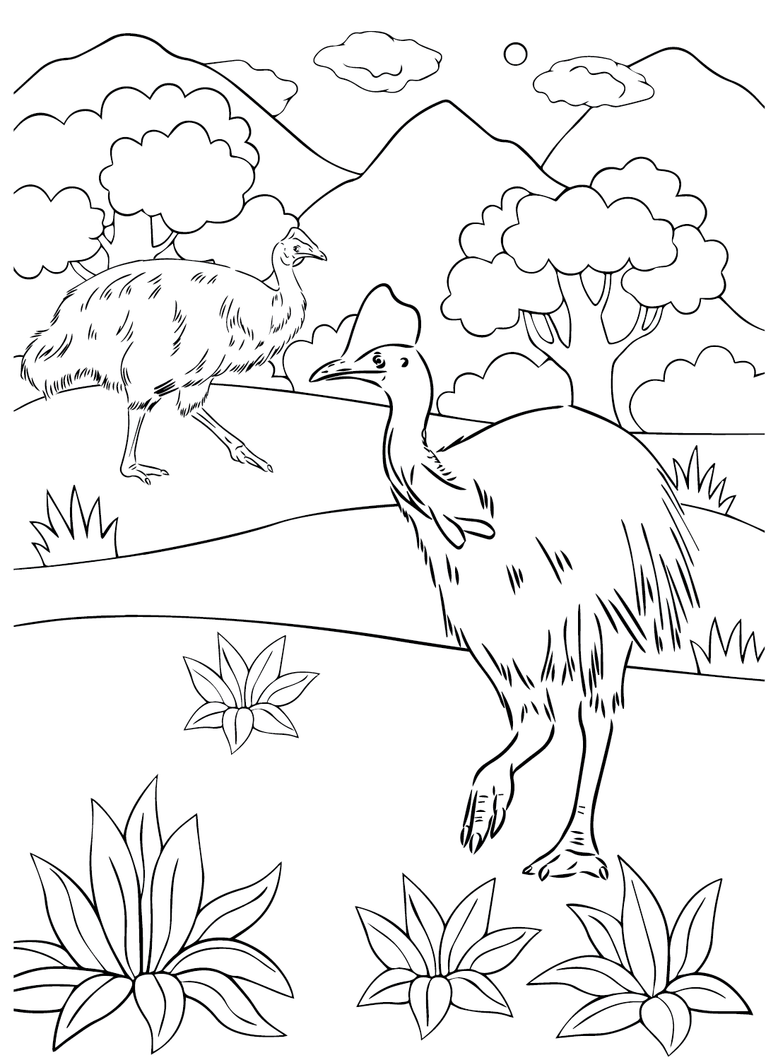 Cassowary Coloring Pages to Download from Cassowary