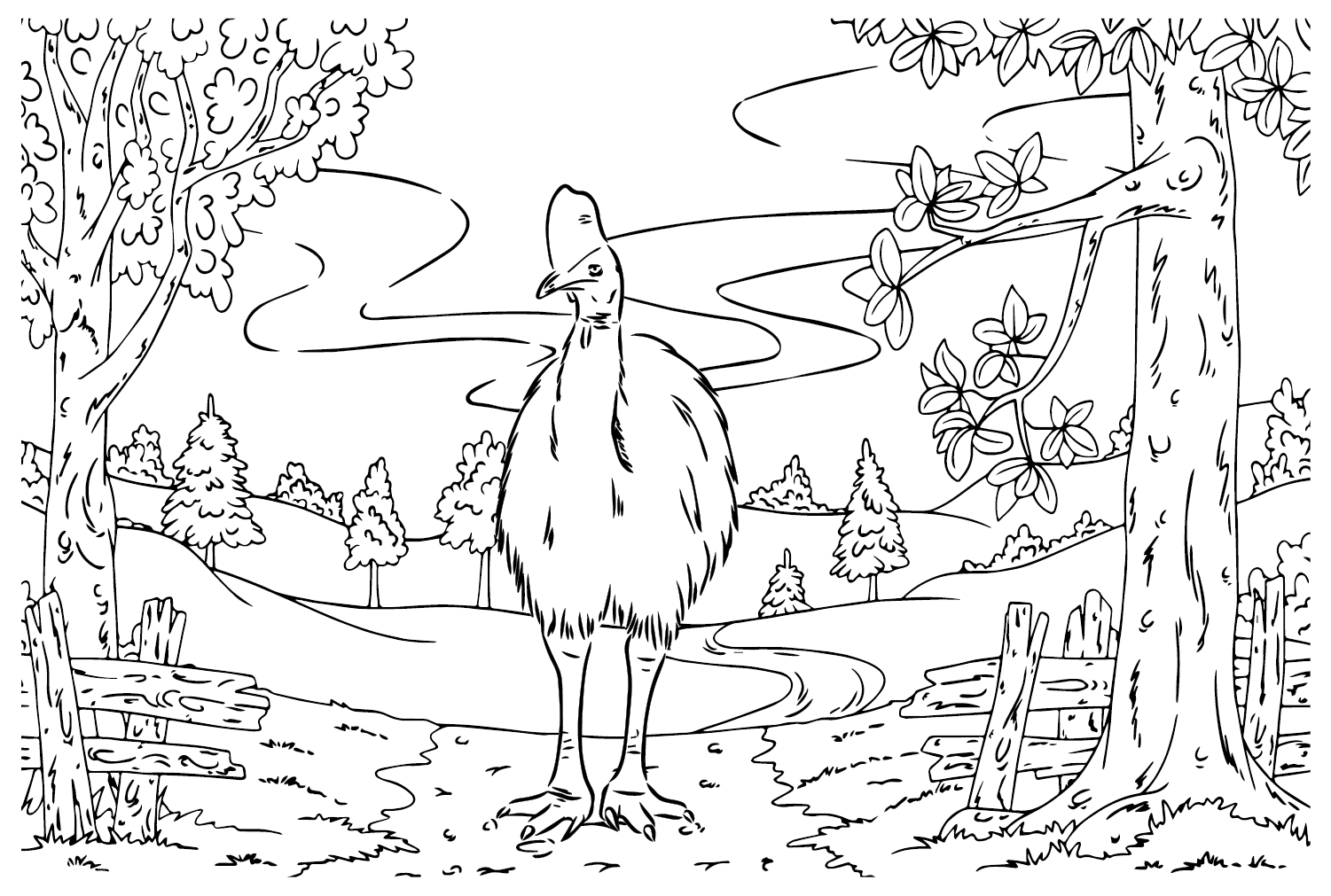 Cassowary Picture to Color from Cassowary
