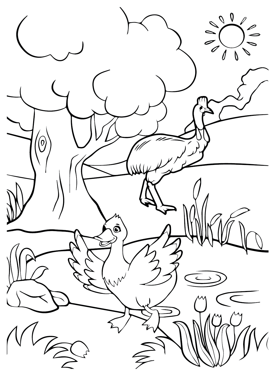 Cassowary and Duck Coloring Page from Cassowary