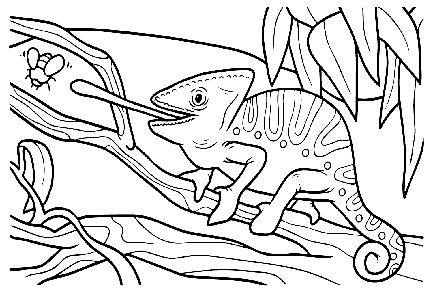 Chameleon Coloring Page from Chameleon