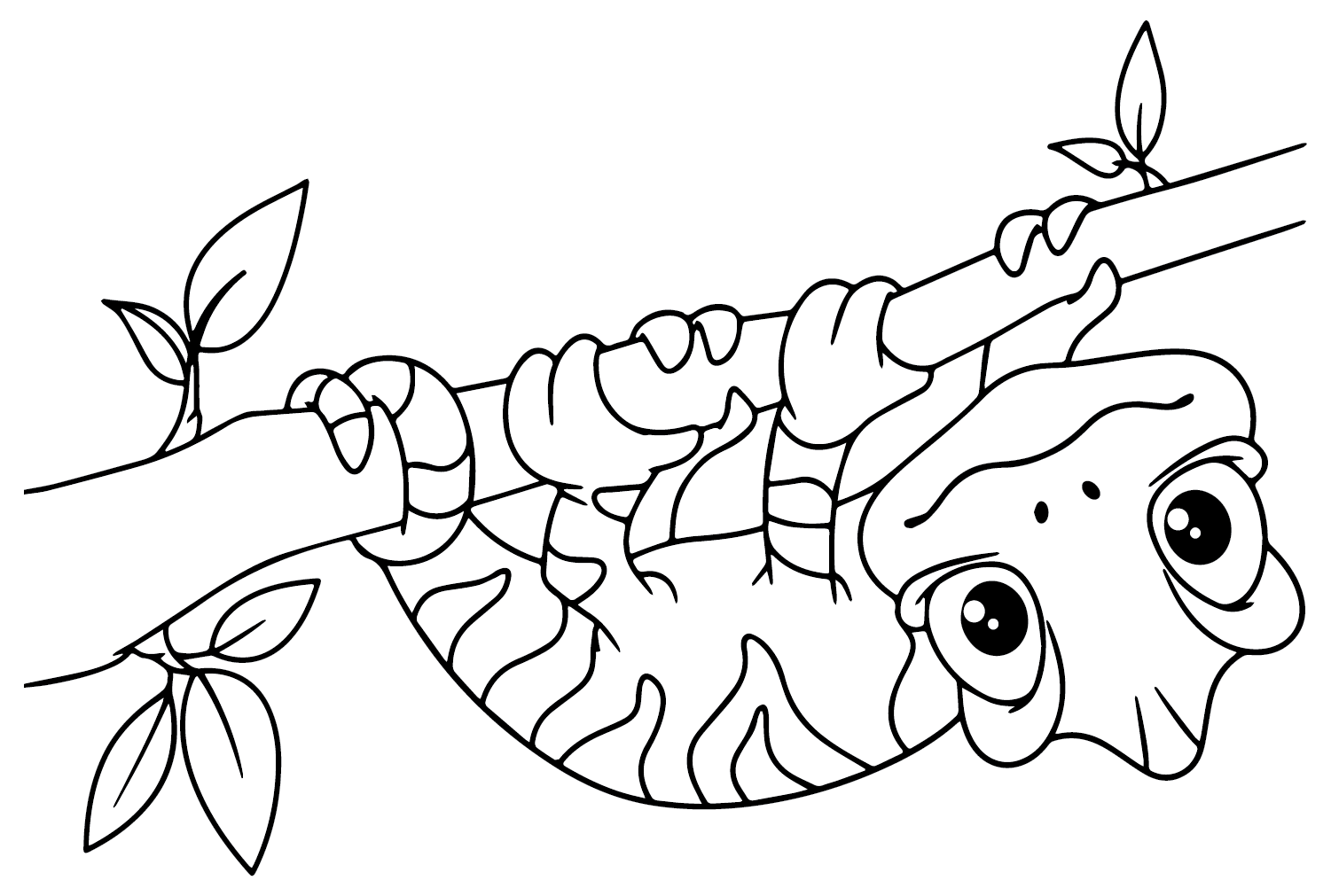 Coloriage imprimable caméléon de caméléon