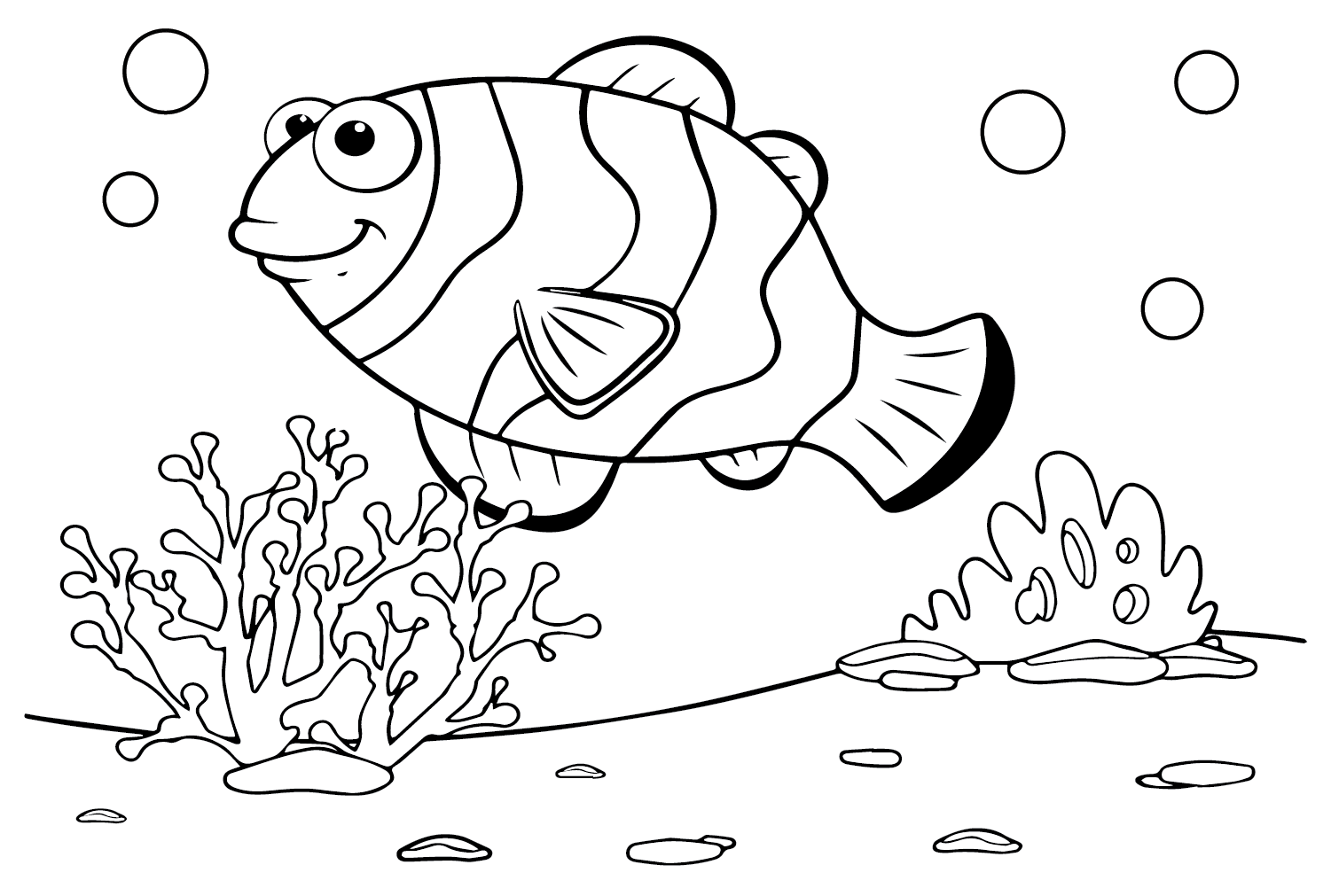 Картинки рыбы-клоуна из рыбы-клоуна