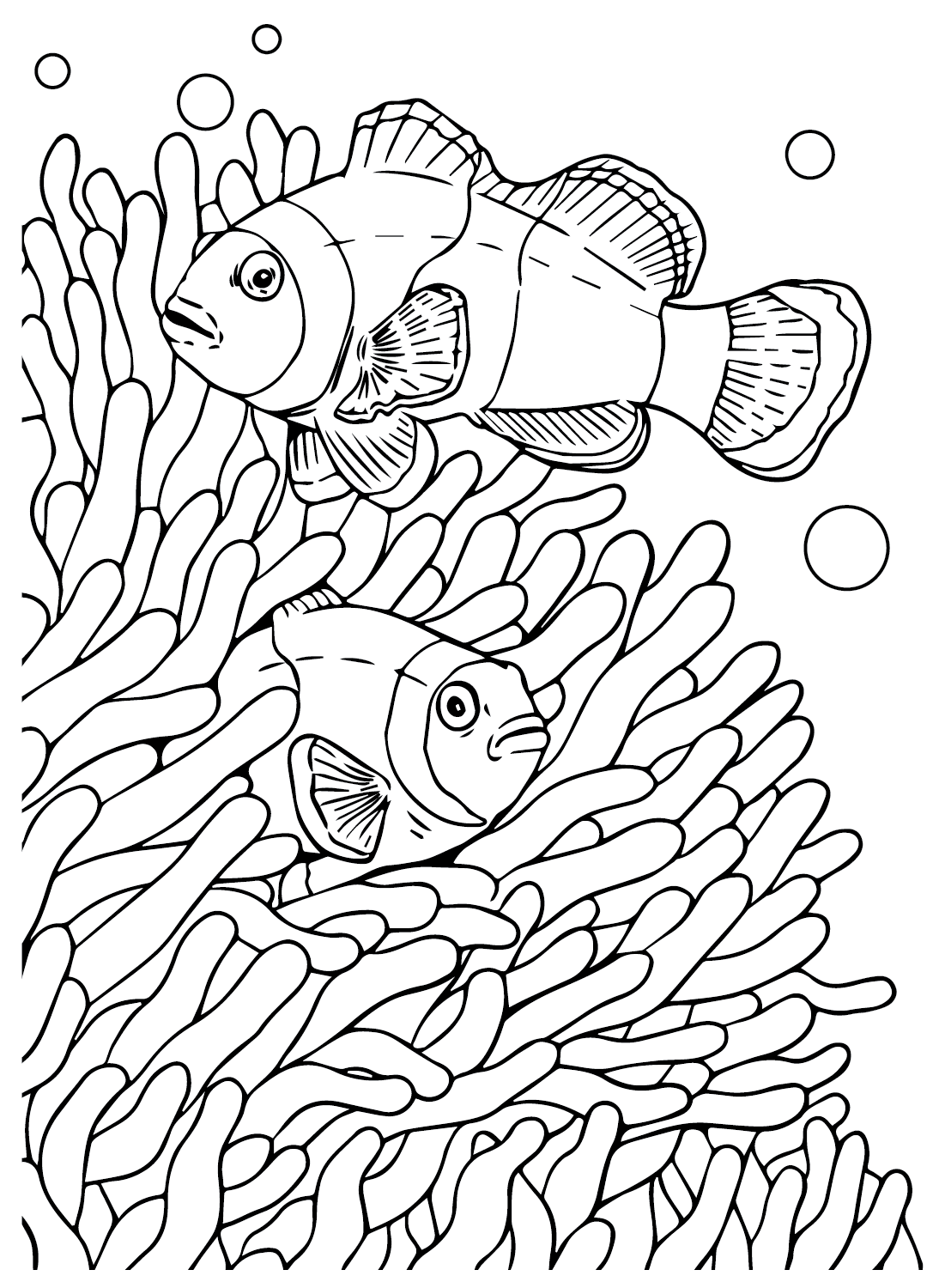 Рыба-клоун в морских анемонах от Clownfish