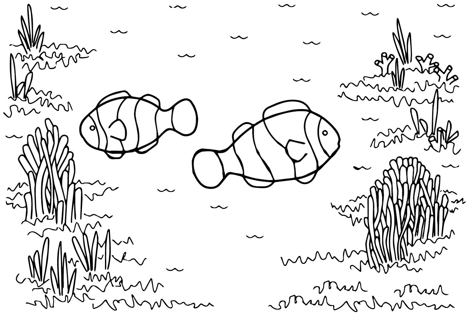 Рыба-клоун на белом фоне из рыбы-клоуна