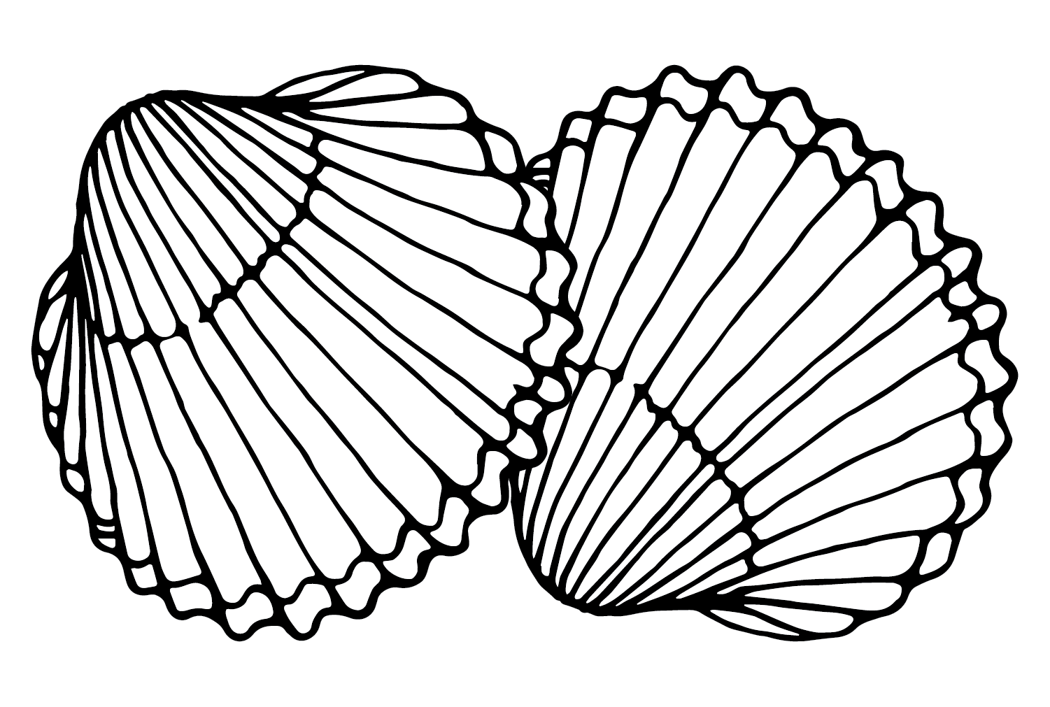 Desenho de berbigão de berbigão
