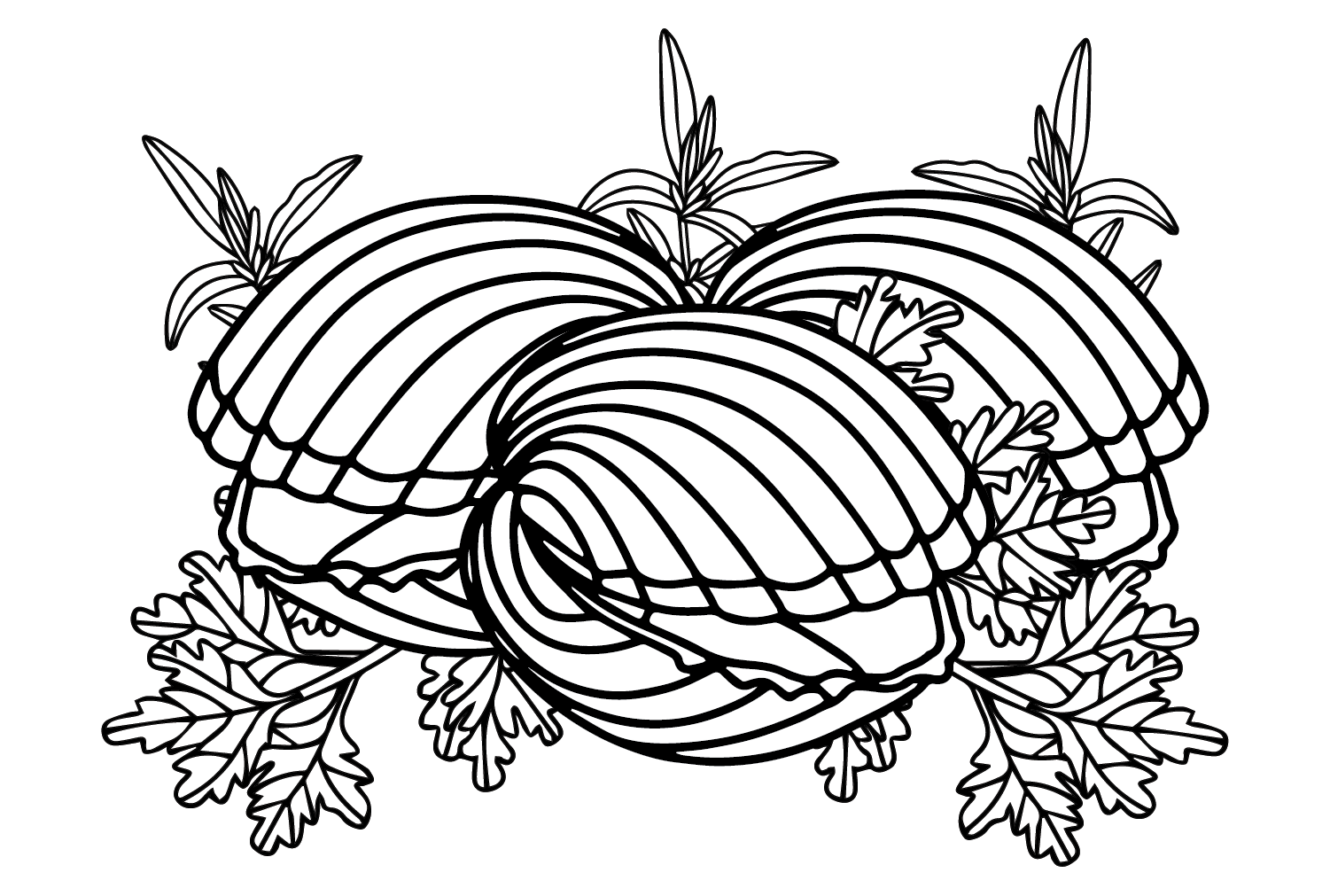 Cockle and Herbs Coloring Pages
