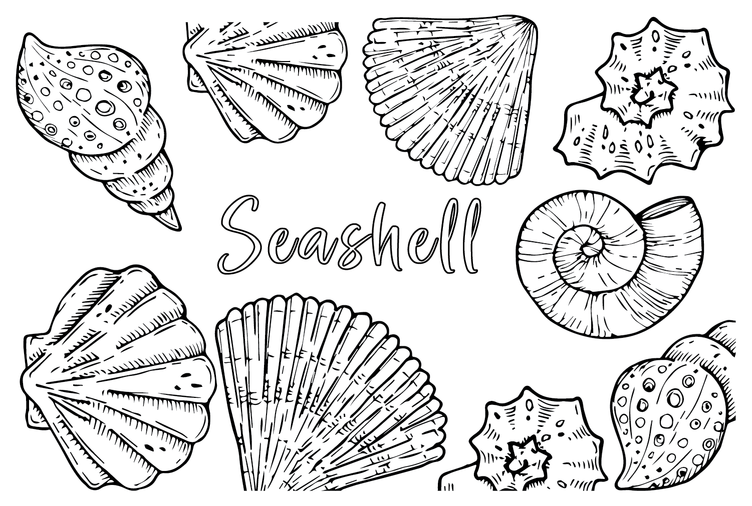 Cockle to Color Coloring Pages