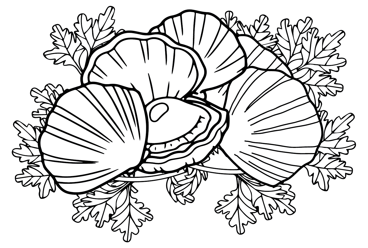 Cockle with Coriander Coloring Pages