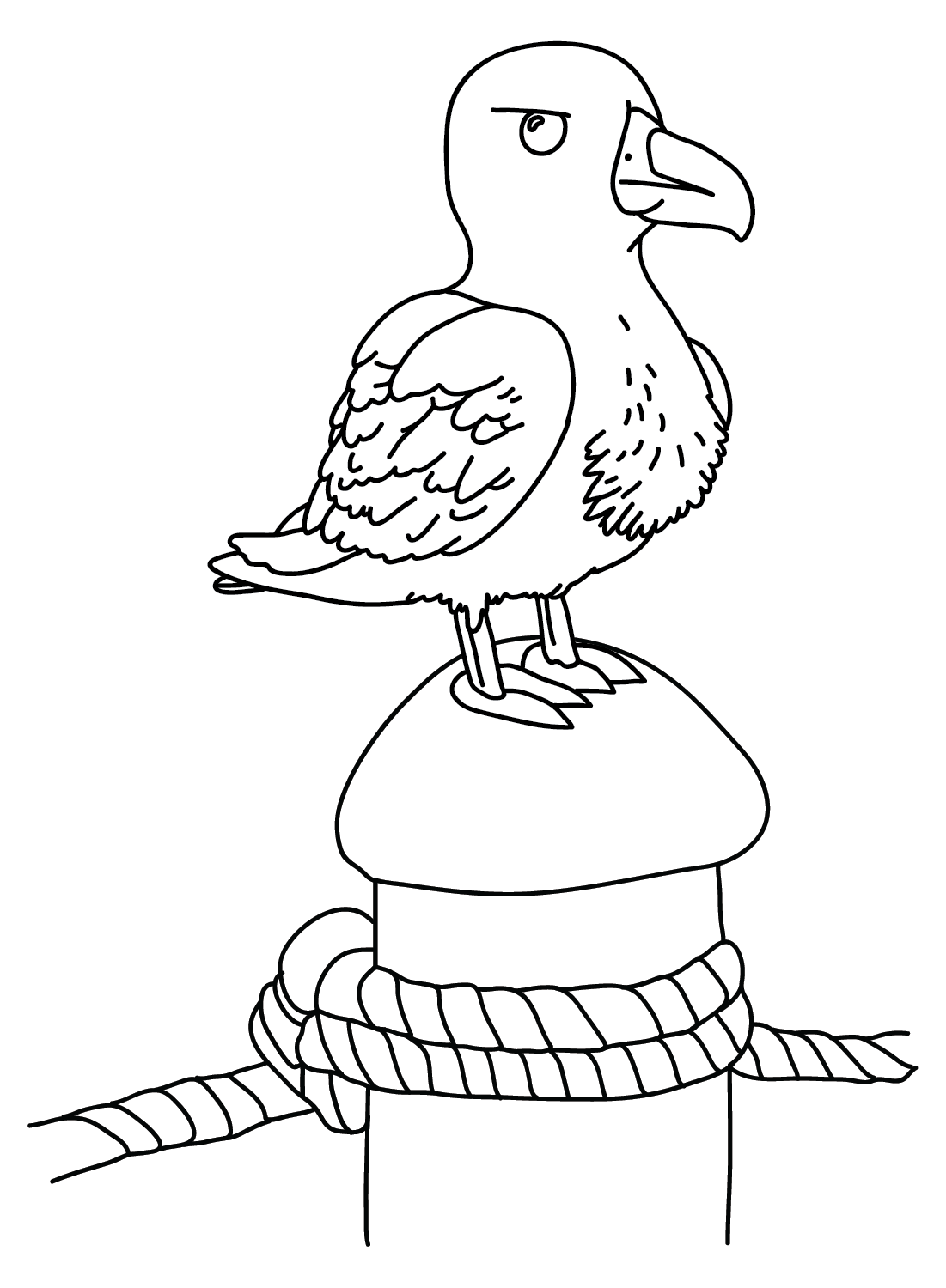 Coloring Page Albatross from Albatross