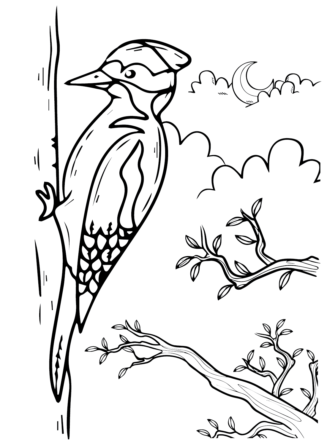 Desenho para colorir Pica-pau do Pica-Pau