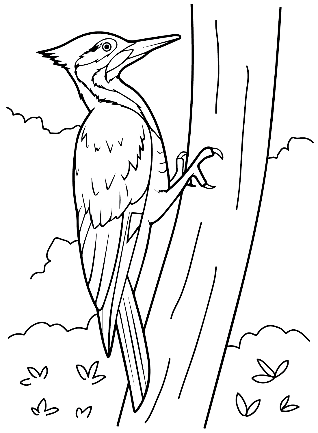 Dibujo para colorear Pájaros carpinteros de Woodpecker