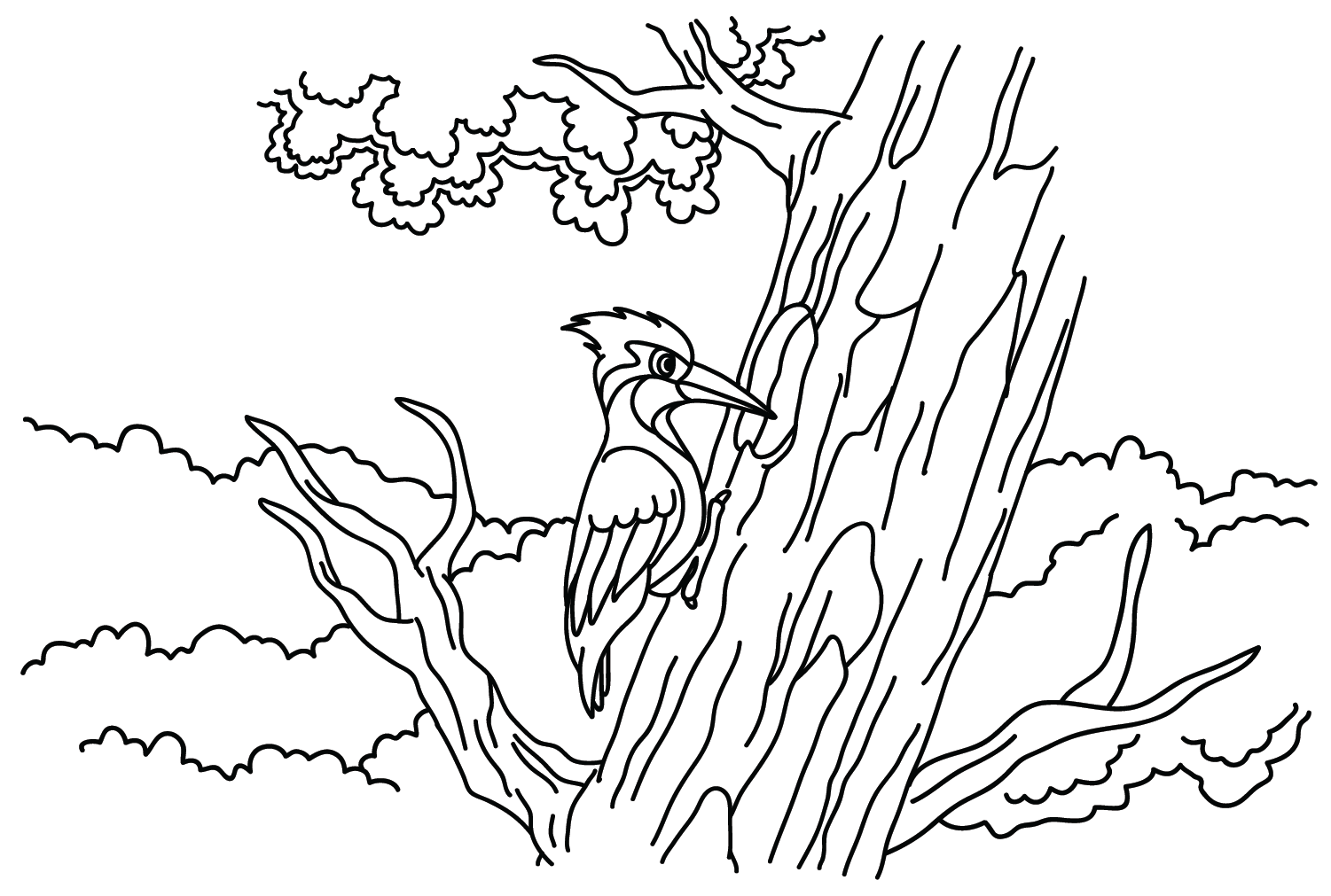 Dibujo para colorear de un pájaro carpintero de Woodpecker